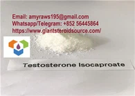 Vücut Geliştirme için CAS 15262-86-9 Testosteron ISO Ham Steroid Beyaz Toz Testosteron İzokaproat